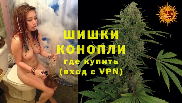 хмурый Бронницы