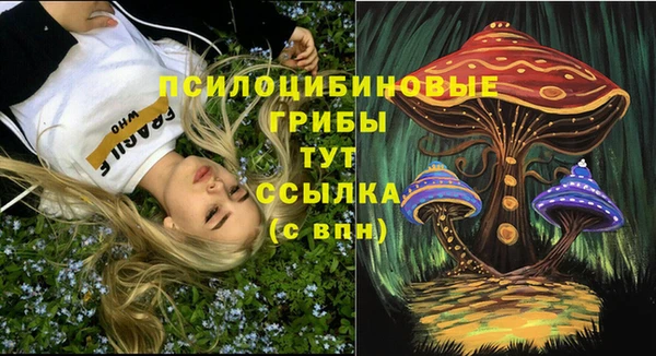 бошки Бородино