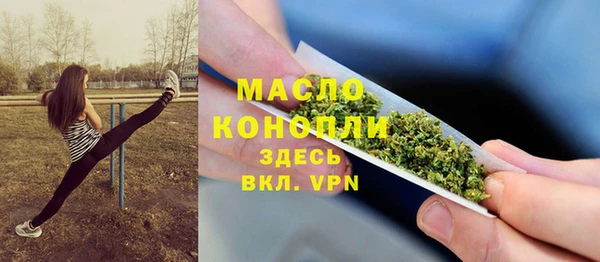 бошки Бородино