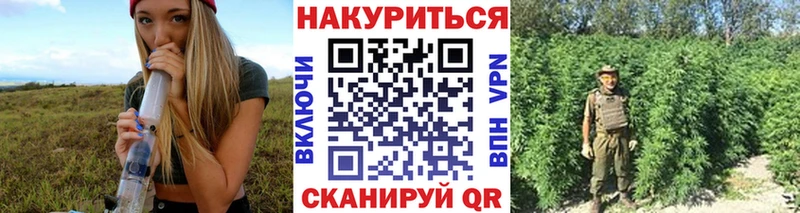 Конопля SATIVA & INDICA  Купить закладки  Донской 